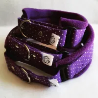 Purple Polka Dot Fleece Lined Martingale Collar